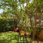 Holidays & Limones De Genova ,150 M Playa Elviria * Marbella
